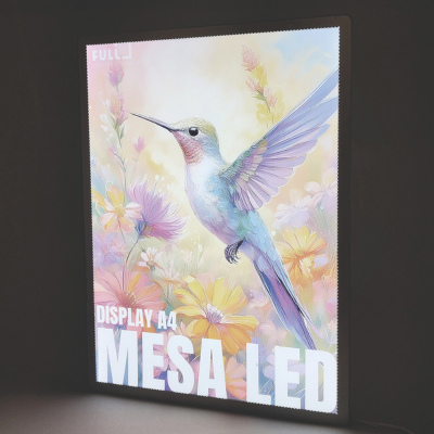 Beija-flor sendo mostrado em uma mesa de LED